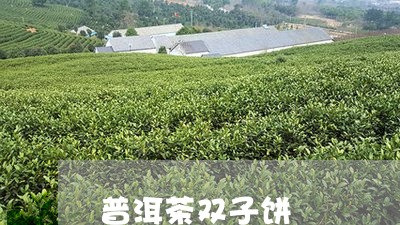 普洱茶双子饼/2023042643780