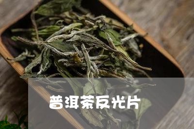 普洱茶反光片/2023042705231