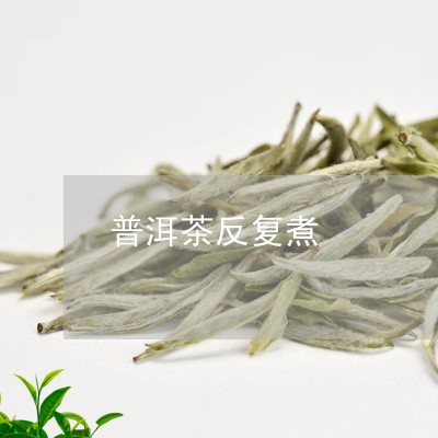 普洱茶反复煮/2023042687859