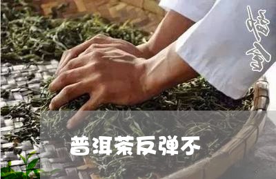 普洱茶反弹不/2023042724726