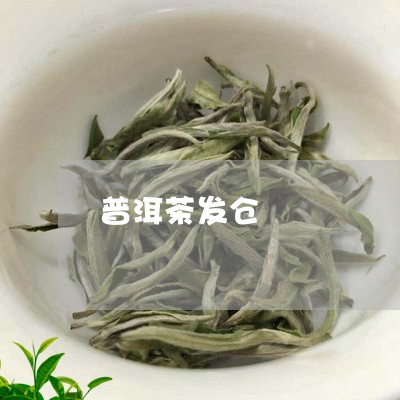 普洱茶发仓/2023090660685