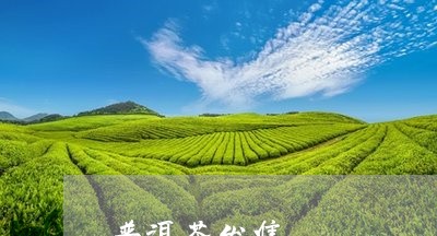 普洱茶发售/2023090528271