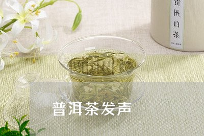 普洱茶发声/2023090626380