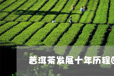 普洱茶发展十年历程图片大全/2023110459491