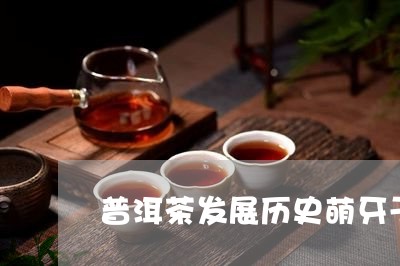 普洱茶发展历史萌牙于/2023093063827