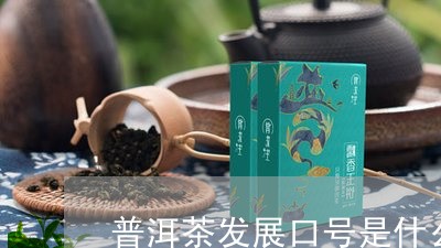 普洱茶发展口号是什么字/2023082937170