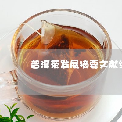 普洱茶发展摘要文献综述/2023112844737