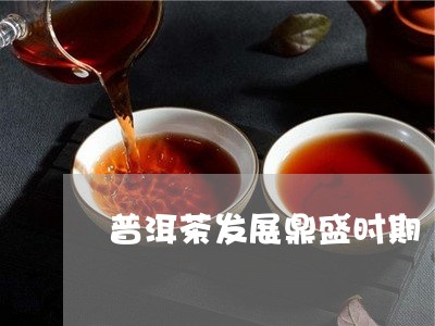 普洱茶发展鼎盛时期/2023091560805