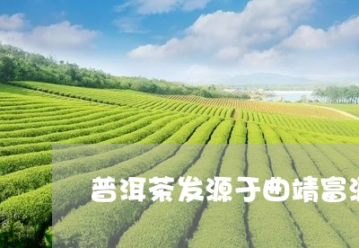 普洱茶发源于曲靖富源/2023080222582