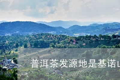 普洱茶发源地是基诺山/2023061524046