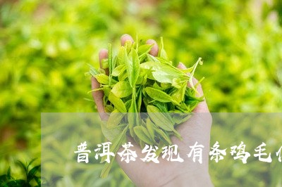 普洱茶发现有条鸡毛什么情况/2023082873616