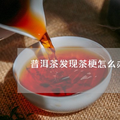 普洱茶发现茶梗怎么办/2023062295268