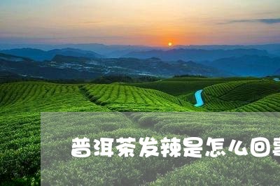 普洱茶发辣是怎么回事/2023061654625