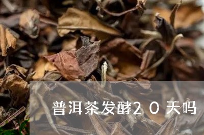 普洱茶发酵20天吗/2023071162727