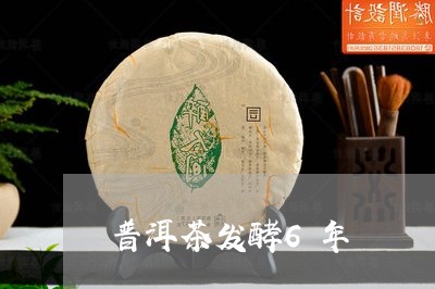 普洱茶发酵6年/2023082930637