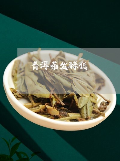 普洱茶发酵低/2023042685080