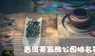 普洱茶发酵公司排名第一/2023082963727