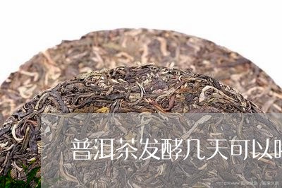 普洱茶发酵几天可以喝/2023080316263