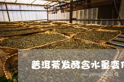 普洱茶发酵含水量变化/2023072105170