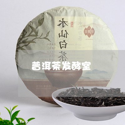 普洱茶发酵室/2023042848473