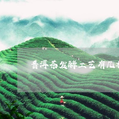 普洱茶发酵工艺有几种/2023062910816