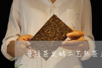 普洱茶发酵工艺熟茶关键/2023101721815