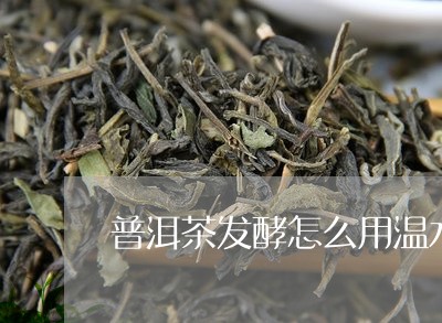 普洱茶发酵怎么用温水冲/2023122629703