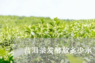 普洱茶发酵放多少水/2023091571505