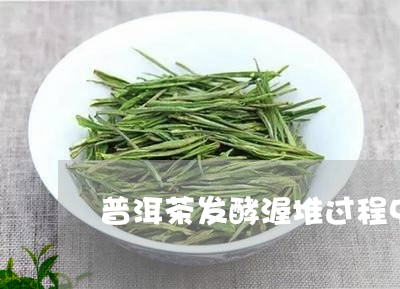 普洱茶发酵渥堆过程中有哪些微生物/2023060343627