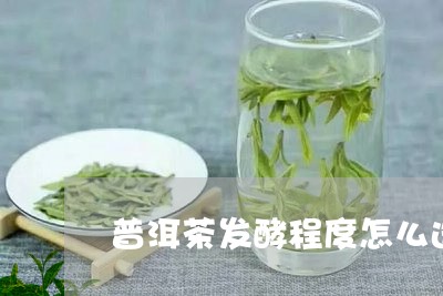 普洱茶发酵程度怎么选/2023100821941