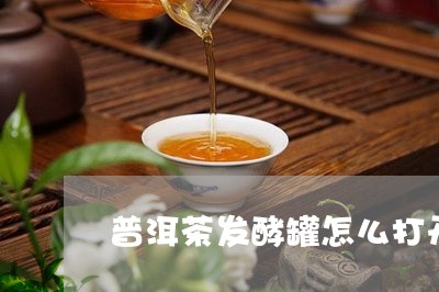 普洱茶发酵罐怎么打开视频/2023112480049