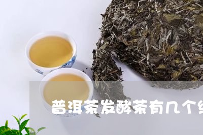 普洱茶发酵茶有几个级/2023080392826