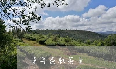 普洱茶取茶量/2023042842363