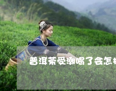 普洱茶受潮喝了会怎样/2023080221505