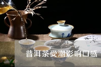 普洱茶受潮影响口感/2023120518140