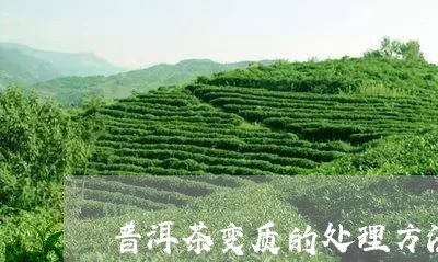 普洱茶变质的处理方法/2023080317503