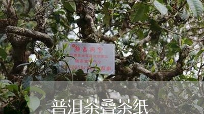 普洱茶叠茶纸/2023042824329