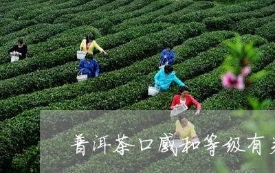 普洱茶口感和等级有关系吗/2023082774259