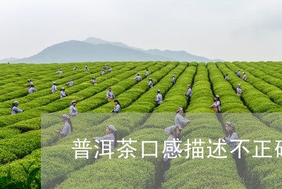 普洱茶口感描述不正确的有哪些/2023053060705