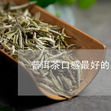 普洱茶口感最好的是哪一种茶/2023110233025