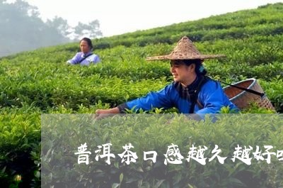 普洱茶口感越久越好吗/2023093056594