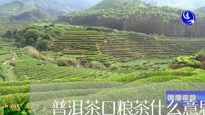 普洱茶口粮茶什么意思/2023080369480