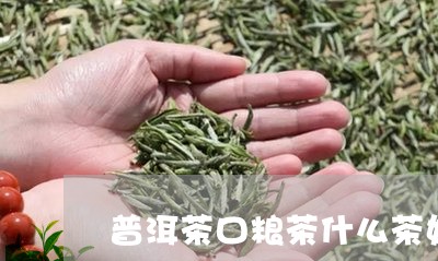 普洱茶口粮茶什么茶好/2023062819302