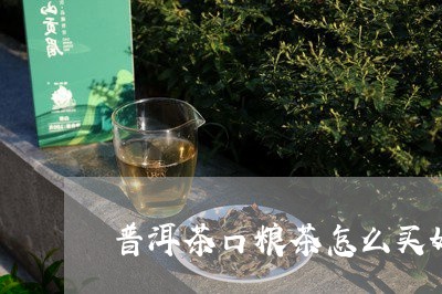 普洱茶口粮茶怎么买好/2023120683046