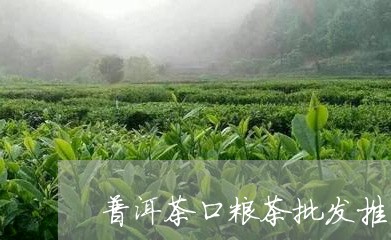 普洱茶口粮茶批发推荐哪种/2023121669382