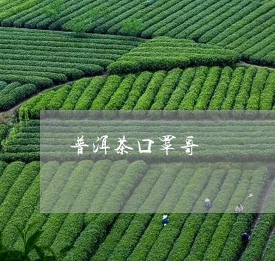 普洱茶口罩哥/2023042662435