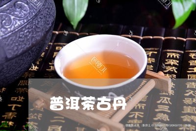 普洱茶古丹/2023090668261