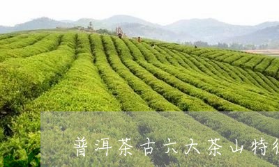 普洱茶古六大茶山特征/2023092721502