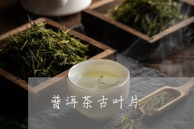 普洱茶古叶片/2023042782225