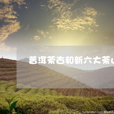 普洱茶古和新六大茶山/2023061510784